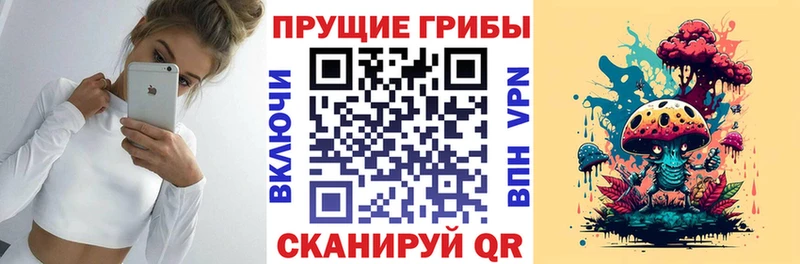как найти закладки  Отрадная  Псилоцибиновые грибы Psilocybine cubensis 